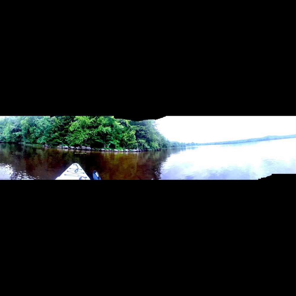 Meet your Posher Dogtownfunk